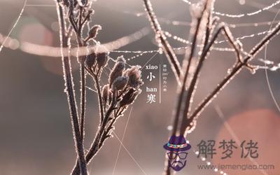 2020小寒出生的人命運好嗎？小寒是什麼季節？(圖文)