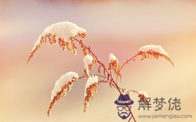 2020年臘月二十一出生的女孩命好不好？1月15日出生的名人(圖文)