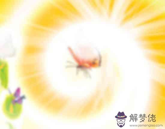 辛亥日