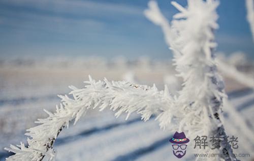 2019年大雪這一天結婚吉利嗎 大雪節氣日期時間大全！(圖文)