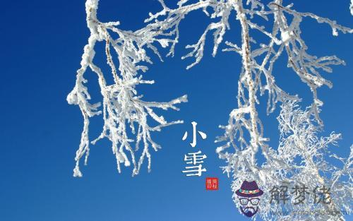 節氣小雪婚嫁有忌諱嗎 小雪節氣日子時間查詢！(圖文)