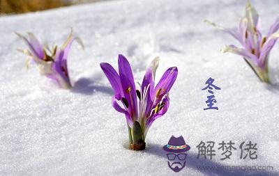 2019年冬至日子好不好？冬至時間要怎麼算？(圖文)