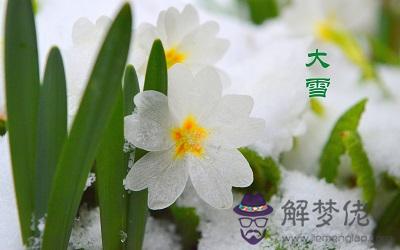 2019年12月7日大雪卯時出生喜用神是火嗎？(圖文)