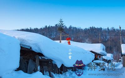 2019豬年小雪節氣辰時出生喜用神 小雪節氣日子如何？(圖文)