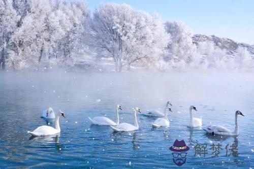 冬至2019年是什麼時候 冬至上一個節氣是大雪嗎？(圖文)