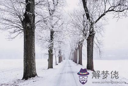 2019年大雪后一天可以領證結婚嗎,節氣大雪是什麼意思？(圖文)