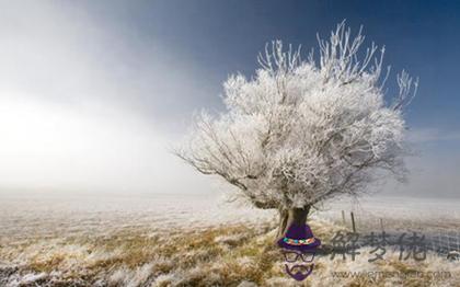 2019年小雪后一天動土會不會不吉利,小雪節氣倒計時2019(圖文)