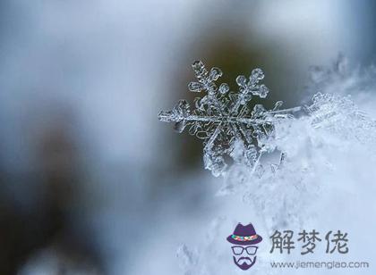 2019年大雪節氣適合裝修房子嗎,2019大雪節氣會下大雪嗎？(圖文)