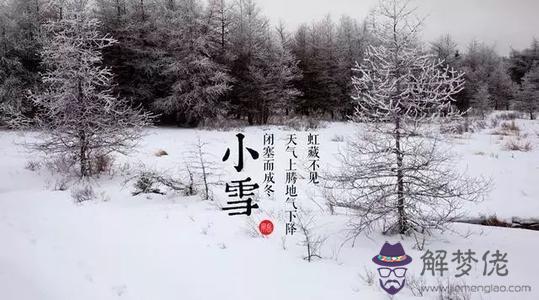 屬龍人出生在不同年份的小雪節氣是什麼命 小雪出生人命運解析！(圖文)