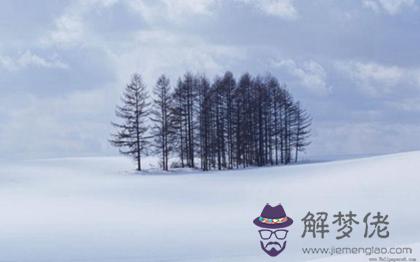 2019年小雪這天不宜做什麼,小雪節氣是什麼意思？(圖文)