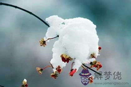 2019年11月22日小雪財神爺吉位在哪里,小雪第幾個節氣？(圖文)