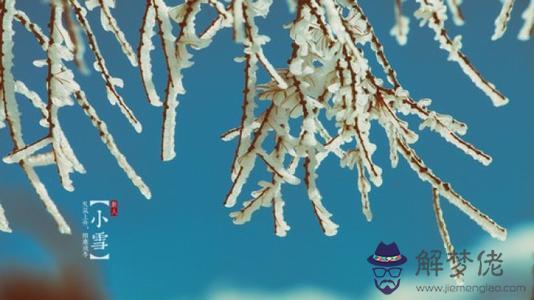 小雪節氣出生的屬蛇人是什麼命 好不好？(圖文)