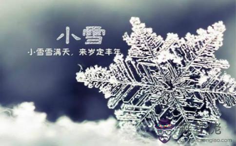 不同年份屬鼠的人生于小雪節氣是什麼命 性格好不好？(圖文)