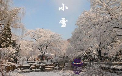 有哪些關于小雪節氣的詩詞和諺語？(圖文)