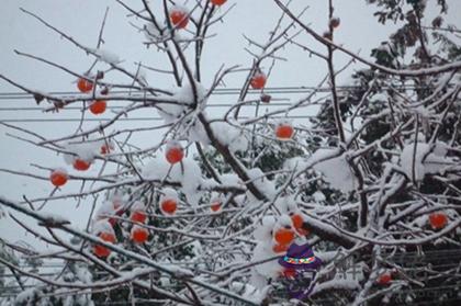 2019年小雪開業好不好,2019年小雪節氣祝福語大全！(圖文)