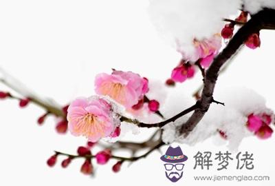 2019年農歷十二月二十日這天可不可以簽約？(圖文)
