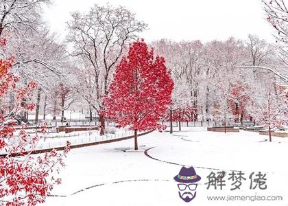2019年陰歷十一月二十六不宜修墳嗎,今天卦象怎麼樣？(圖文)