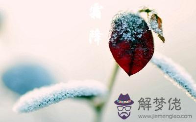 霜降節氣的含義是什麼？2019霜降日時辰宜忌表！(圖文)