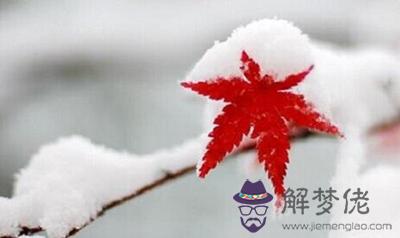 2019年農歷十一月十二大雪節氣適合上香祈福嗎？(圖文)