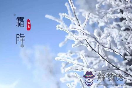 2019年霜降后一天可以祈福拜拜嗎,霜降過種植大蒜好嗎？(圖文)