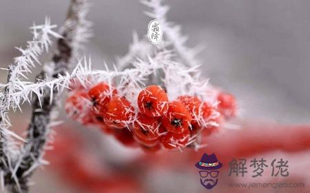 2019年10月24日霜降祭祀祭祖好嗎,霜降下一個節氣是立冬嗎？(圖文)