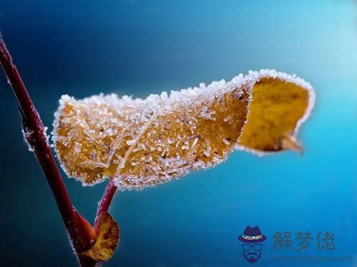 霜降是什麼時候開始 霜降與霜凍關系分析！(圖文)