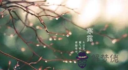 2019年寒露10月8日出生的豬寶寶好嗎 是什麼命？(圖文)