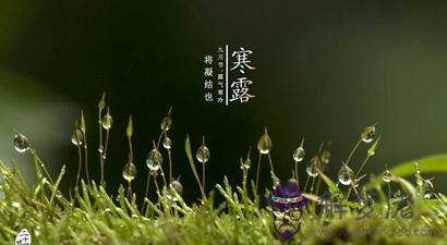 2019年寒露10月8日出生的豬寶寶好嗎 是什麼命？(圖文)