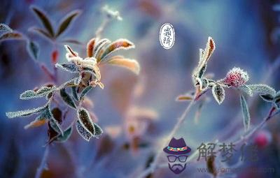 2019年霜降節氣子時出生會是什麼命？(圖文)