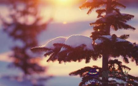 2019年農歷十月二十六小雪是不是吉日,2019小雪會下雪嗎？(圖文)