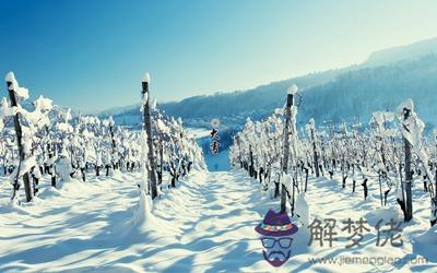 2019年冬月十一月十二大雪節氣是不是理發的黃道吉日？(圖文)