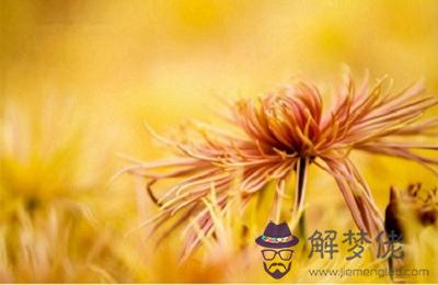重陽節登高的意義 重陽節登高要注意什麼？(圖文)