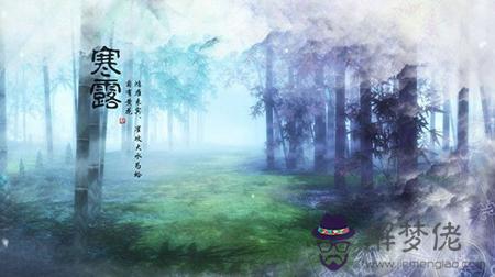 2019年寒露忌諱理發嗎,寒露的下一個節氣是霜降嗎？(圖文)