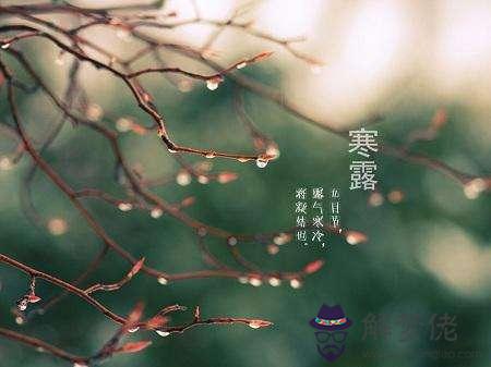 2019年10月8日寒露忌入宅搬家嗎,關于寒露詩詞解析！(圖文)