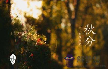 2019年秋分懷孕好嗎 秋分懷孕寶寶什麼時候出生？(圖文)