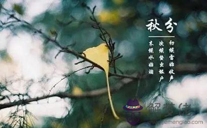 2019年秋分節氣出生的人命數和運勢解析(圖文)