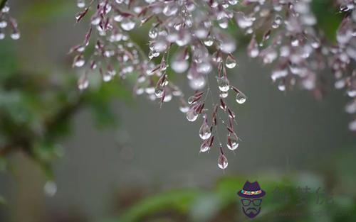 寒露是哪一天 寒露節氣吃什麼？(圖文)