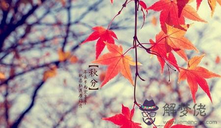 秋分節氣是什麼時候 秋分的三候是什麼？(圖文)