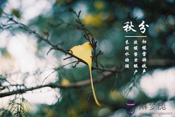 2019年秋分有那些事情不適合做 秋分過后天氣冷不冷？(圖文)