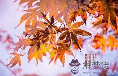 秋分是中國什麼節？秋分是什麼時候開始的？(圖文)