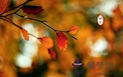 2019秋分可以理發嗎？秋分的禁忌和適宜(圖文)