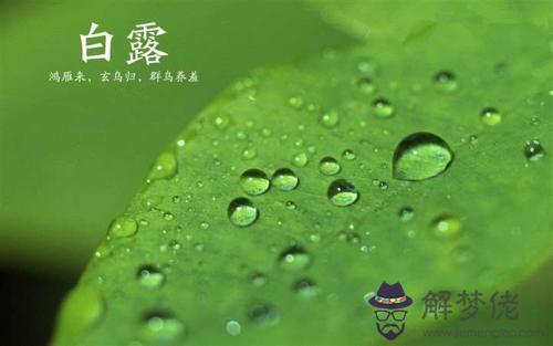 2019白露那天什麼時間是白露真正到來?白露具體時間時分秒(圖文)