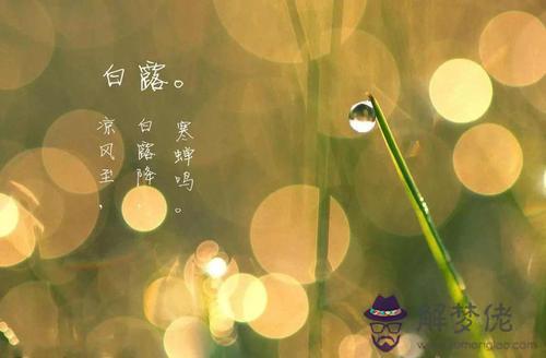 白露節氣的含義簡介,白露節氣是什麼來歷?(圖文)