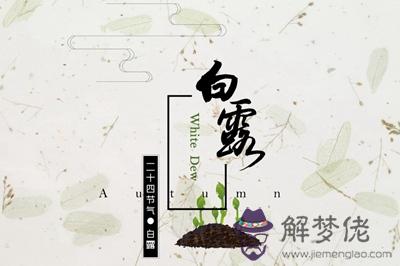 白露節氣種什麼蔬菜水果？2019年白露是在八月嗎？(圖文)