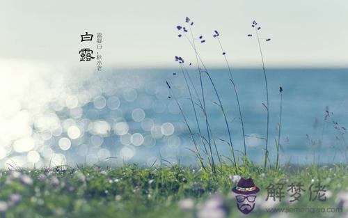 白露是什麼節氣有什麼習俗 白露節氣習俗有哪些？(圖文)