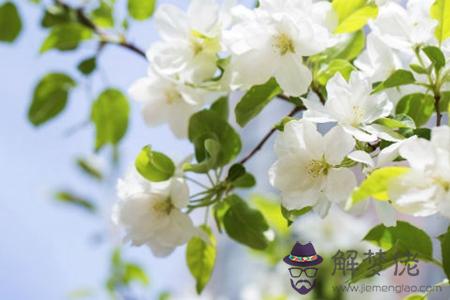 2019年農歷九月廿八簽約好不好,今天卦象怎麼樣？(圖文)
