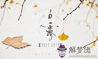 2019年八月初十白露節氣寅時出生的寶寶命如何？(圖文)