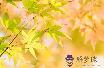 2011年12月出生的人命運如何？是不是富貴命呢？(圖文)