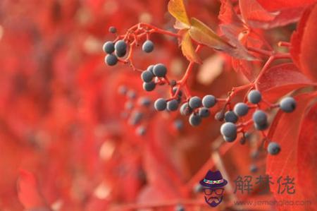 2019年農歷九月十二簽約好嗎,這天是簽約好日子嗎？(圖文)