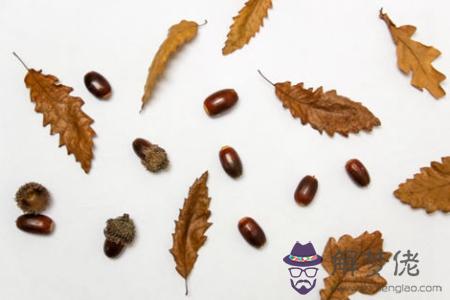 2019年農歷九月十二日子好嗎,是出殯安葬逝者吉日嗎？(圖文)